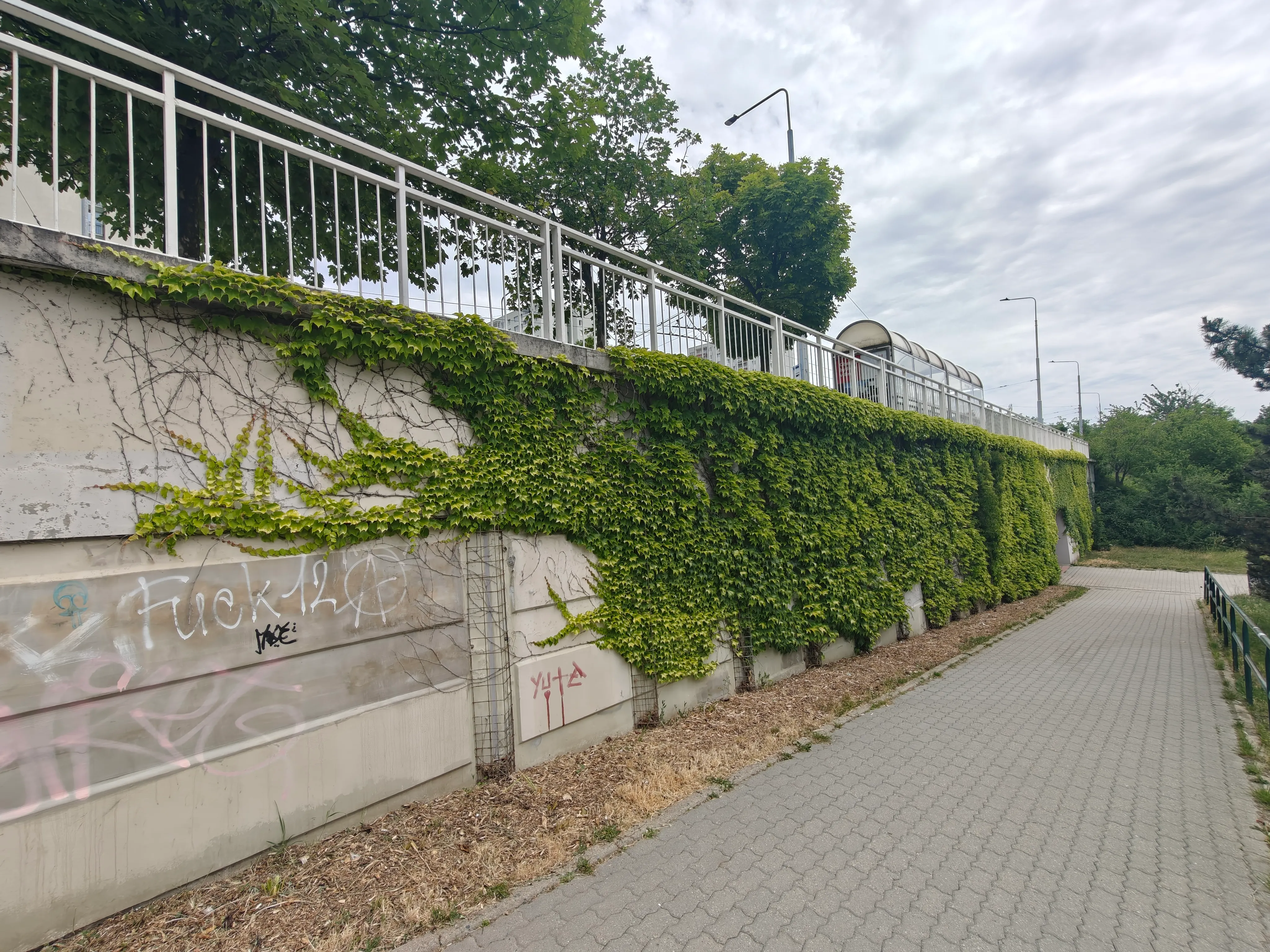 Referenční foto k projektu: Modrozelená infrastruktura v každé investici