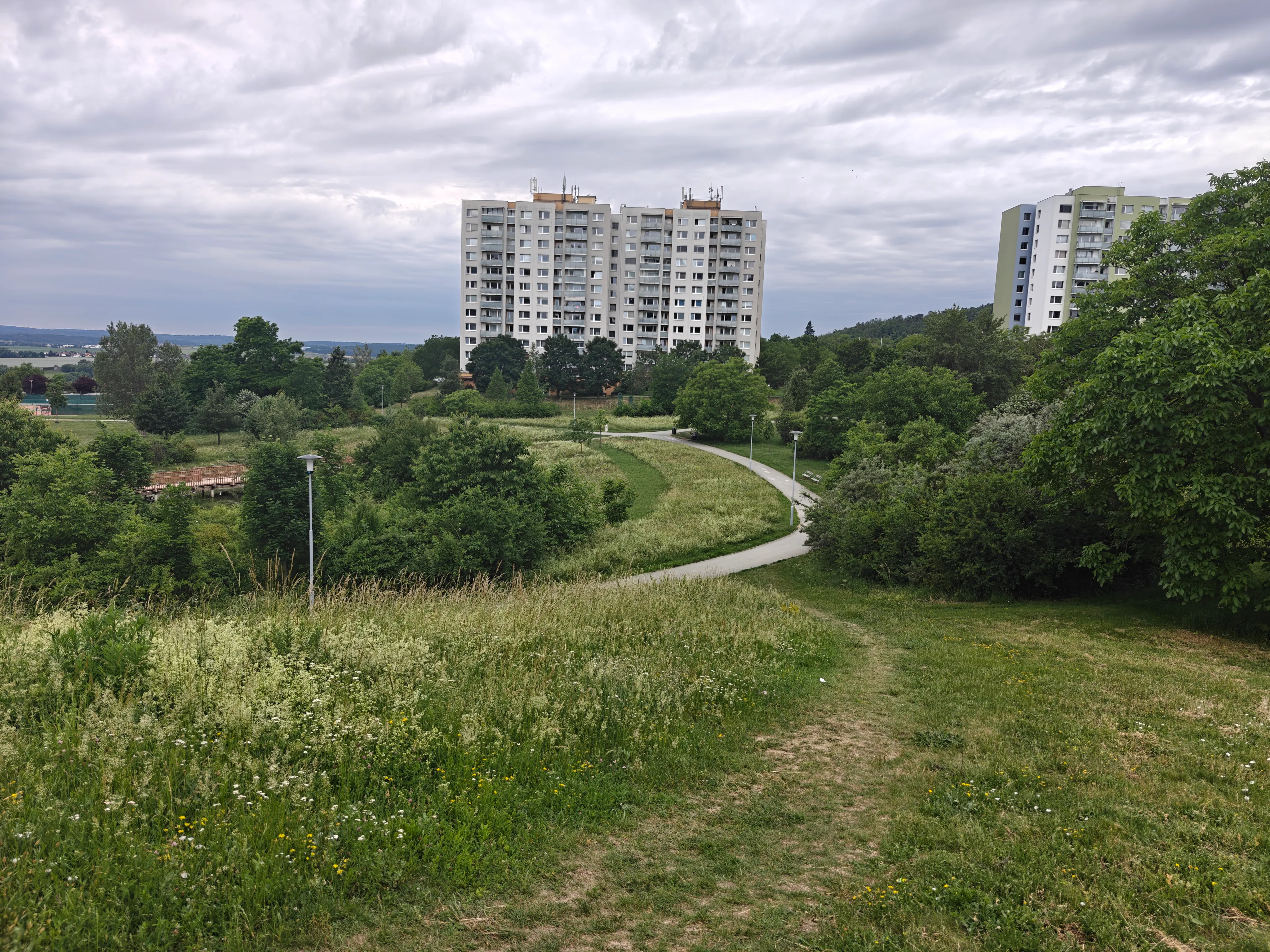 Referenční foto k projektu: 2 hektary nových ekologicky stabilních ploch ročně