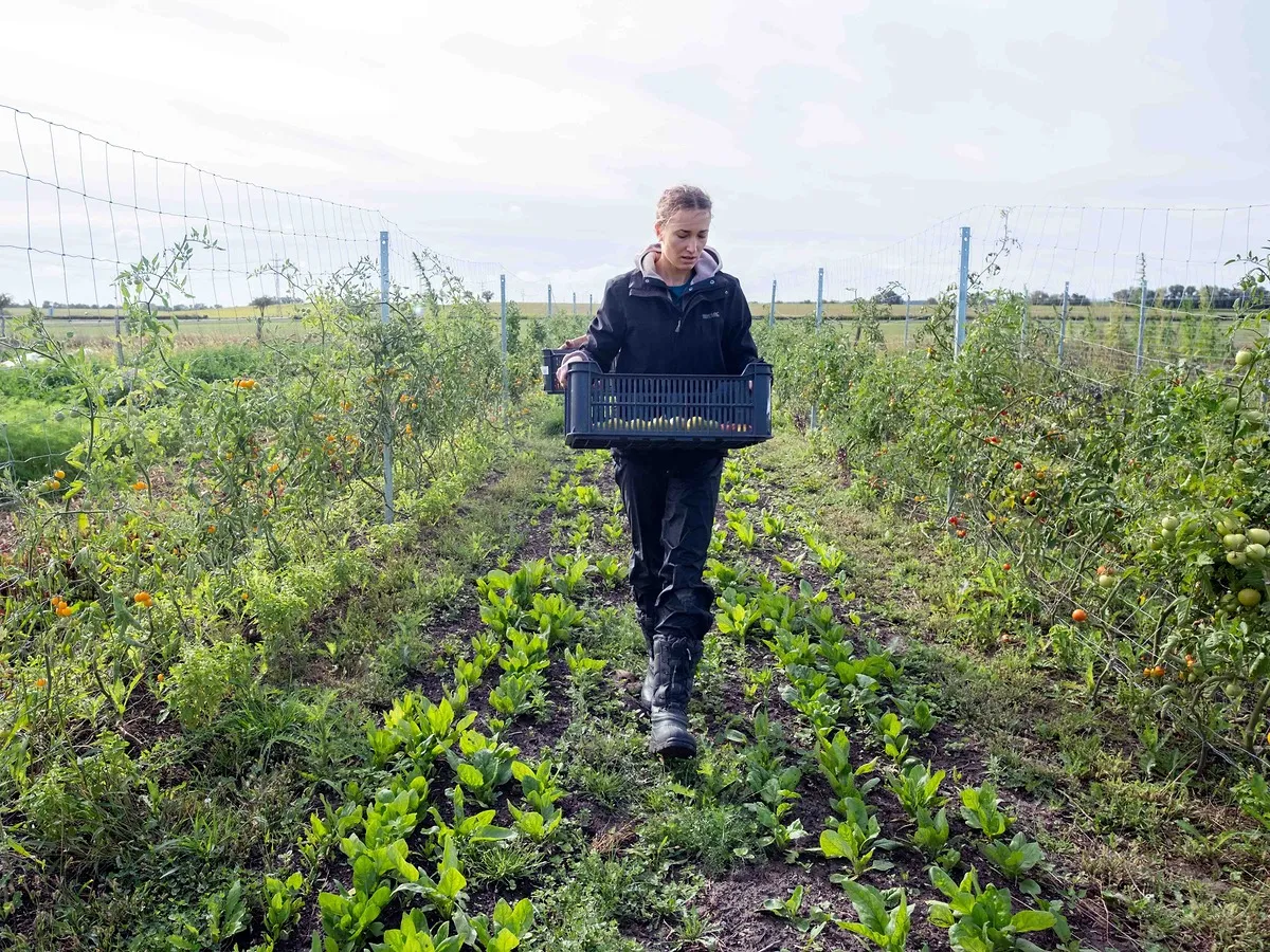 Referenční foto k projektu: Prověření a nové soutěžení pronájmů městské půdy